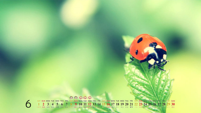 雪莉杨为什么和精绝女王长得一样为什么都说 雪莉杨为什么和精绝女王长得一样为什么都说