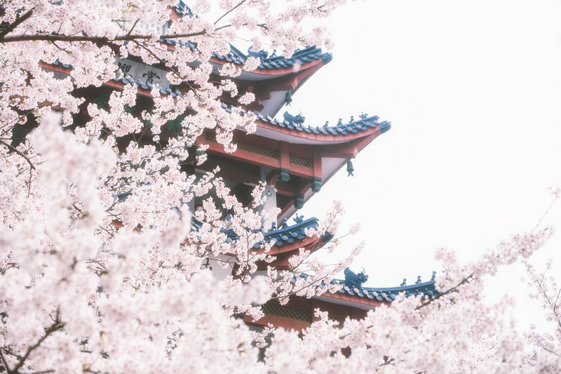 马字为姓的宝宝起名 姓王起名最佳笔画数 马字为姓的宝宝起名 姓王起名最佳笔画数