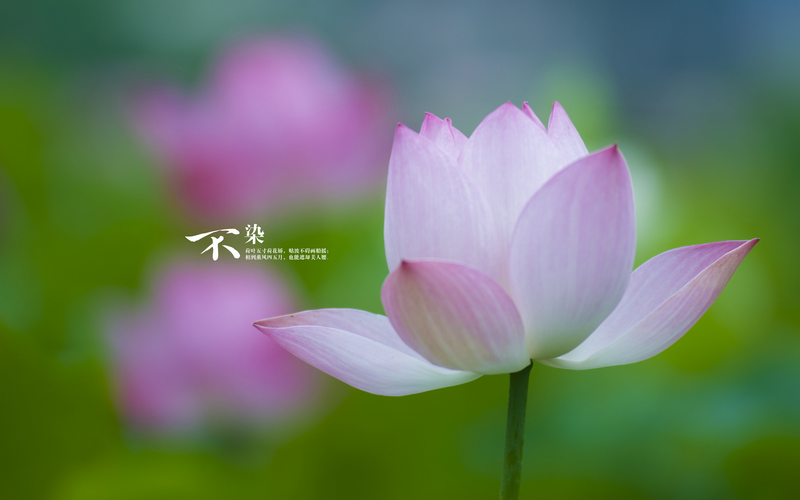 曹语文姓名测试题能影响我未来的时间规划和运势(曹语文姓名测试题能否影响时间规划与运势走向) 曹语文姓名测试题能影响我未来的时间规划和运势(曹语文姓名测试题能否影响时间规划与运势走向)