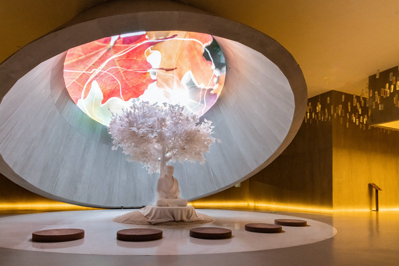 ���鹫Ԣ2��Աȫ����