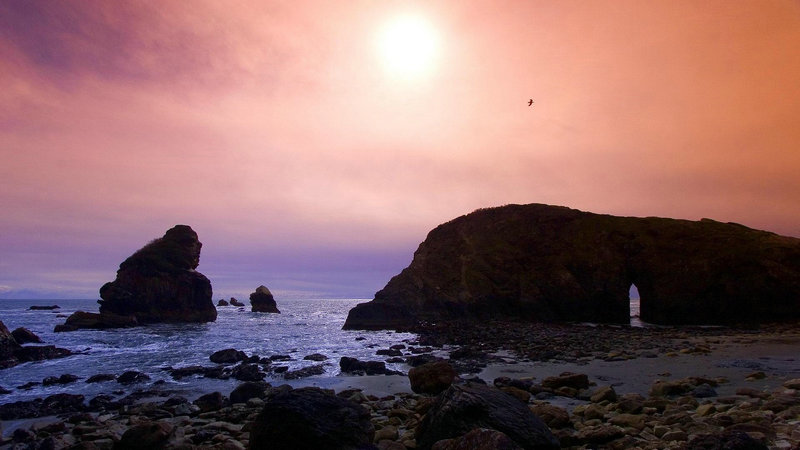 ӣ�������ˮ��ϵ��� ��ͳ�����µ�ӣ������ˮѧ���