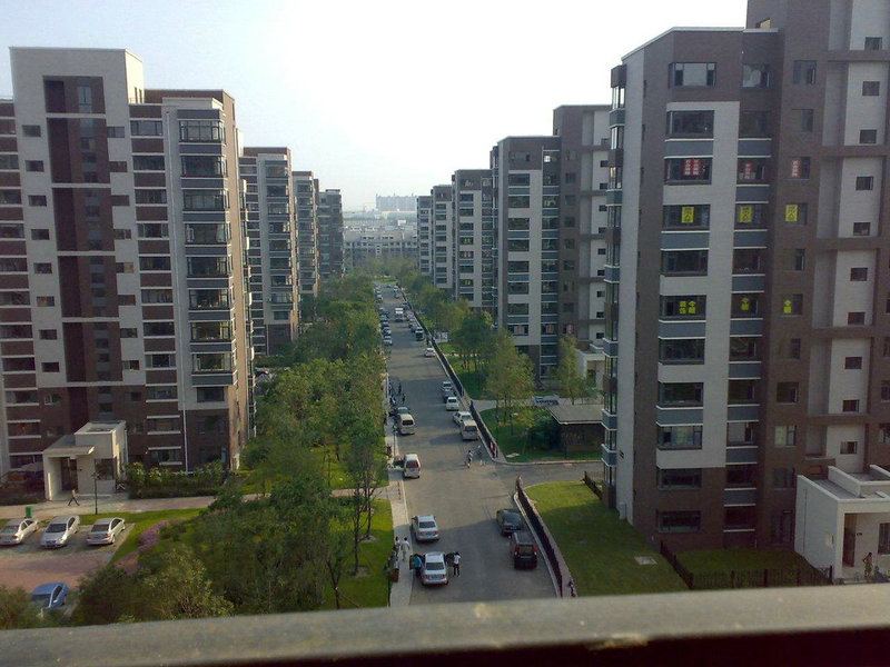 ��95�����������Ա ����ϼ����Ү����