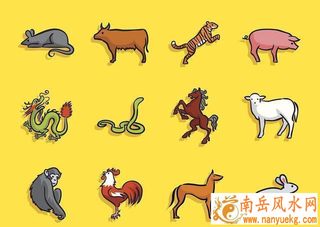 江一燕为什么令人讨厌 江一燕为什么令人讨厌