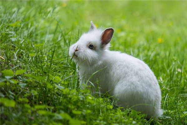 ���걾������ʲô������Ф���˻���Ӱ����(���걾������ʲô��Ӱ����Ф����������)