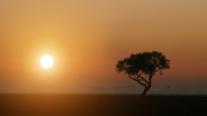 �����ſ��� �����ſ�������