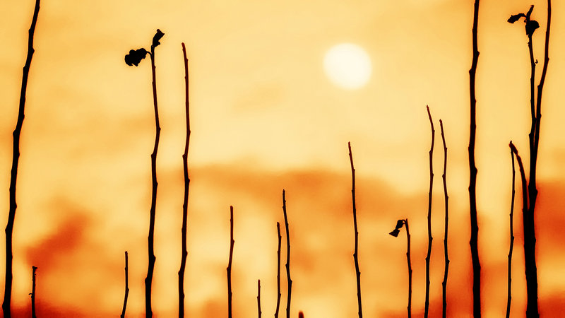 ������Ů�� ������Ů����˭