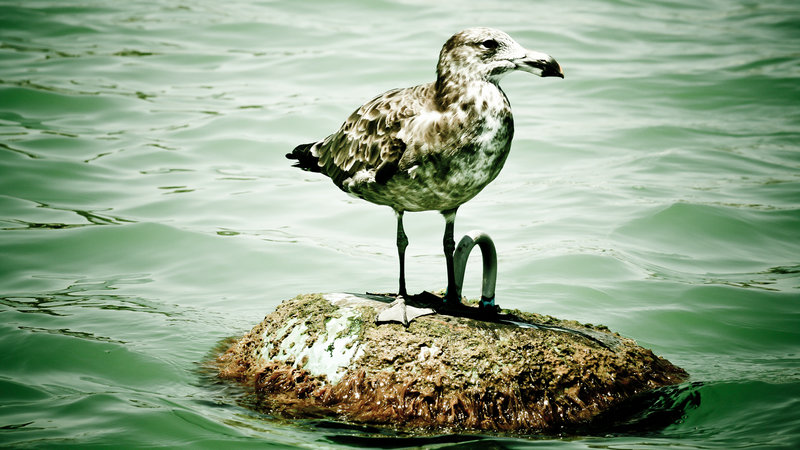 ������ǩ101ǩ����ǩ��ͥì��������(������ǩ101ǩ����ǩ�ļ�ͥì�ܰ�ʾ����)