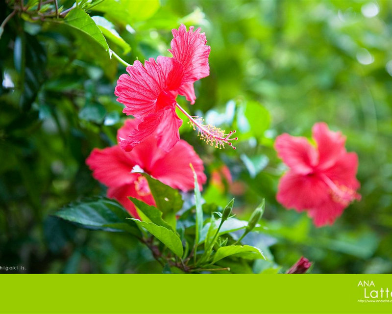 ����Ա���޸�������