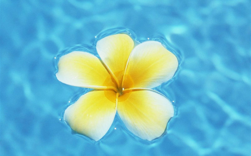 七一年农历二月二十五命数解析与早七点的命运数字计算 七一年农历二月二十五命数解析与早七点的命运数字计算