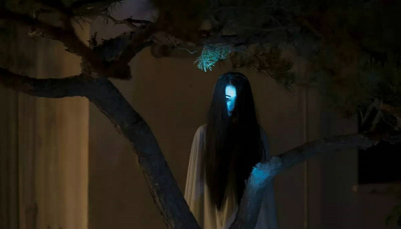 ����ľ���ڸ�����Ӱ��