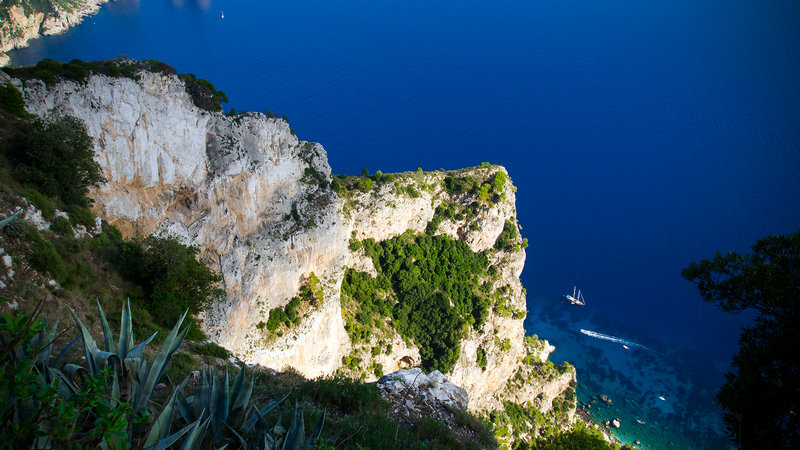 �������������һ��ţ����Ƥ��������