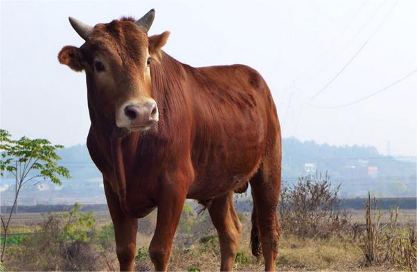 ������ǩ��60ǩ�ʼ���Ӱ����Ϸϲ��(������ǩ��60ǩ�ʼ��� ��Ϸϲ�û�Ӱ����)