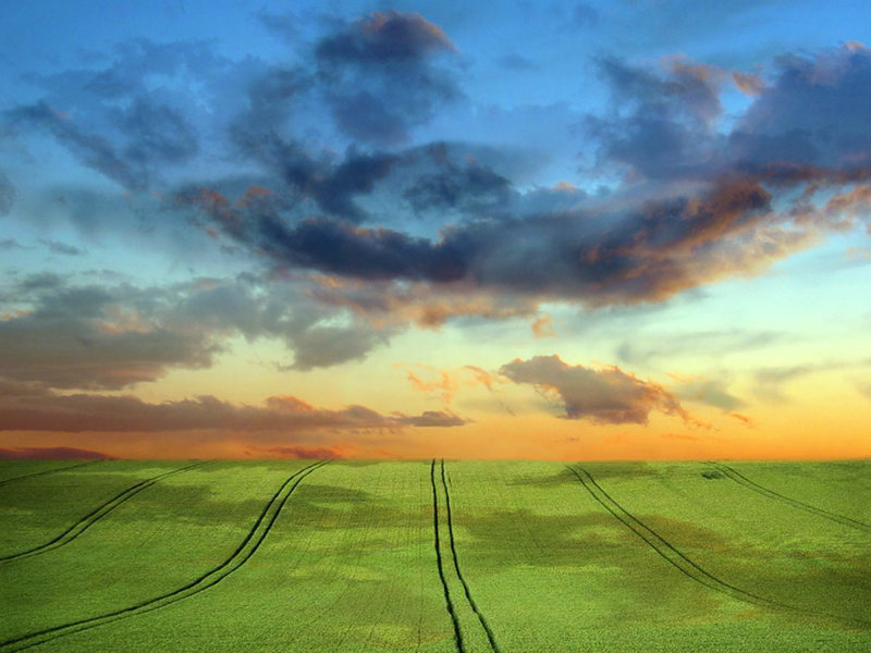 2025��11�²���λ��Ԥ�� ������˷�λ����أ�