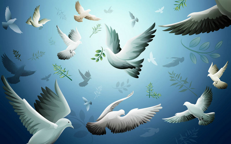 �ҳ��������������Բ�ѯ�����վ��׼ȷ��ӳ�������˼����Ʒ�չ��