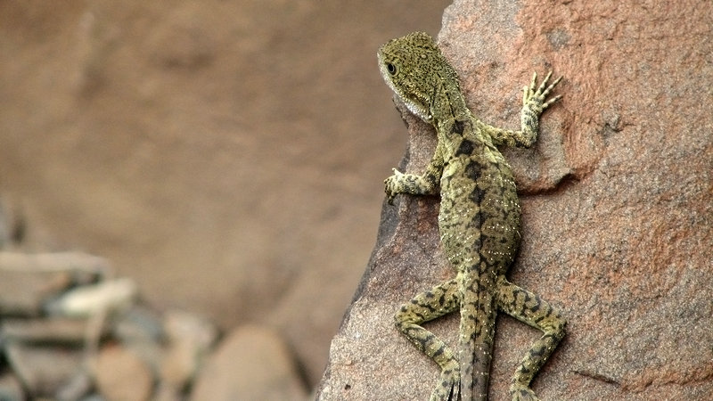 ������ǩ�����7ǩ_�����Ȥ��Ͷ��(������ǩ�����7ǩ_���ͬ�����ܷ��г��չ)