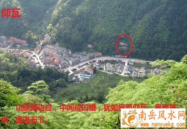 张学友与罗美薇的电影全集 罗美薇演过什么片 张学友与罗美薇的电影全集 罗美薇演过什么片