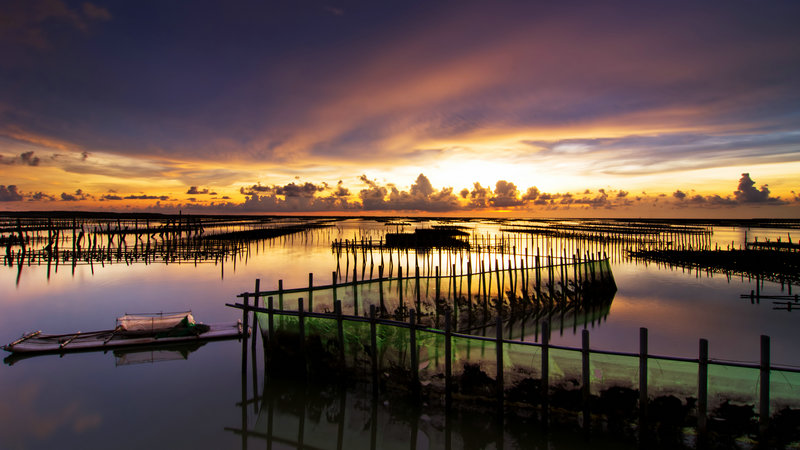 �ºպ������ݵĵ��Ӿ�