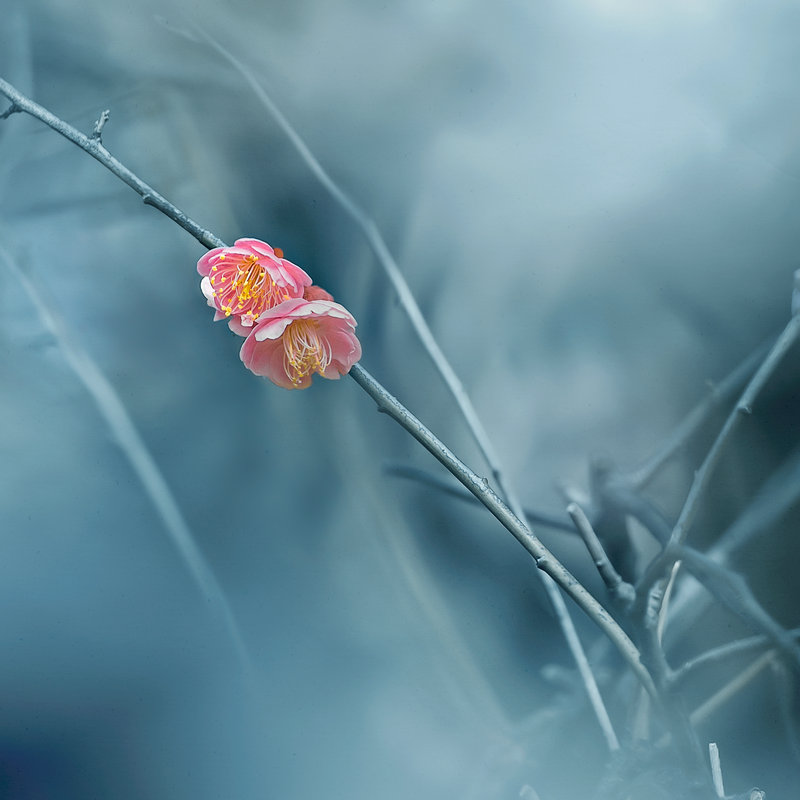 观音财神灵签求职签风险管理有何隐患(观音财神灵签求职风险管理应对) 观音财神灵签求职签风险管理有何隐患(观音财神灵签求职风险管理应对)