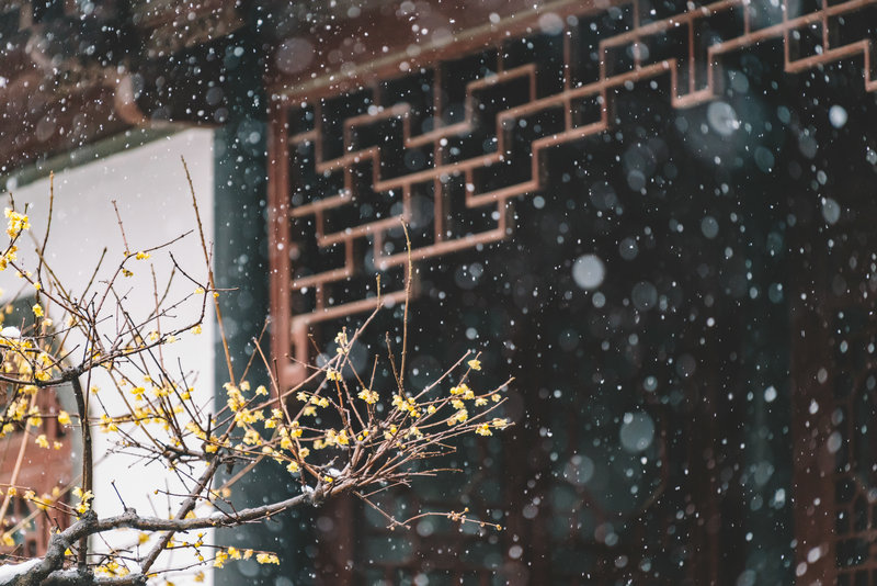 郭德纲本人 郭德纲本人简介 郭德纲本人 郭德纲本人简介