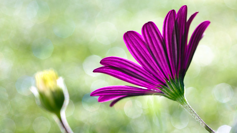 ���������һ��׼������ʵĽ�鼪��(���������һ��׼���鼪����Ŀɿ�����)