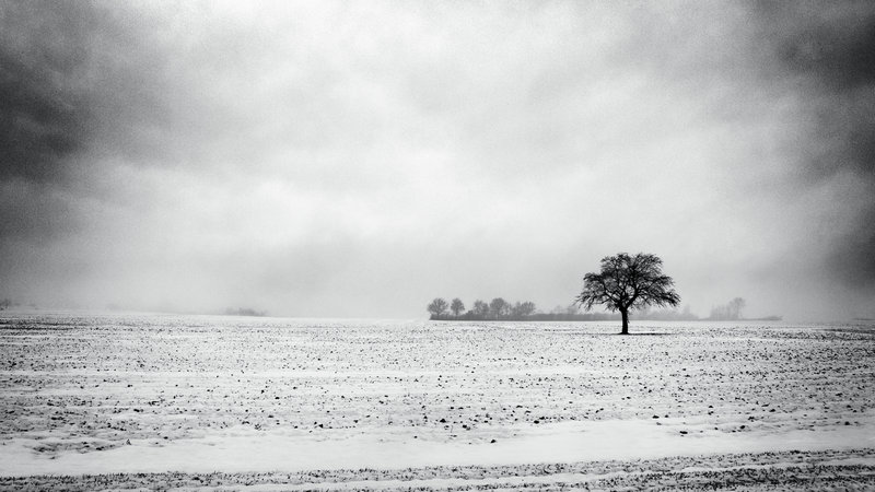 ����ʱ������������������