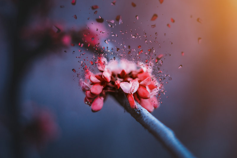 ũ��ת�� �������ڶ�Ӧũ�����ڲ�ѯ 2007��ũ�����ڽ���