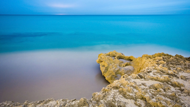 �칫�Ҳ��ֵ���ָ�� �칫����ˮ�ڷż�����칫�һ����Ż�����