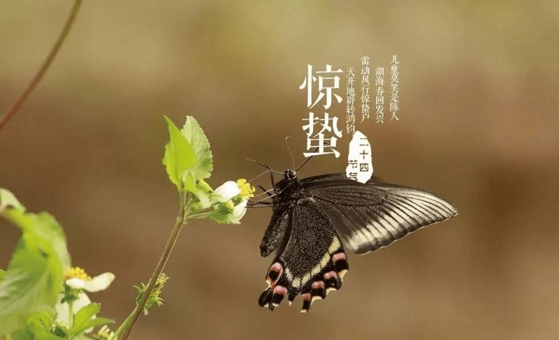 װ�޷�ˮѧ�������� ����ָ����Ҫ�ؽ���