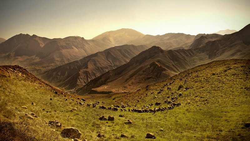 婚姻和事业哪个重要 事业和婚姻都顺利的男人面相 婚姻和事业哪个重要 事业和婚姻都顺利的男人面相