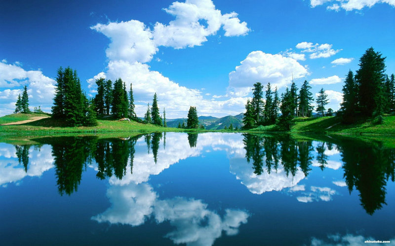 �µ�����С��������̳