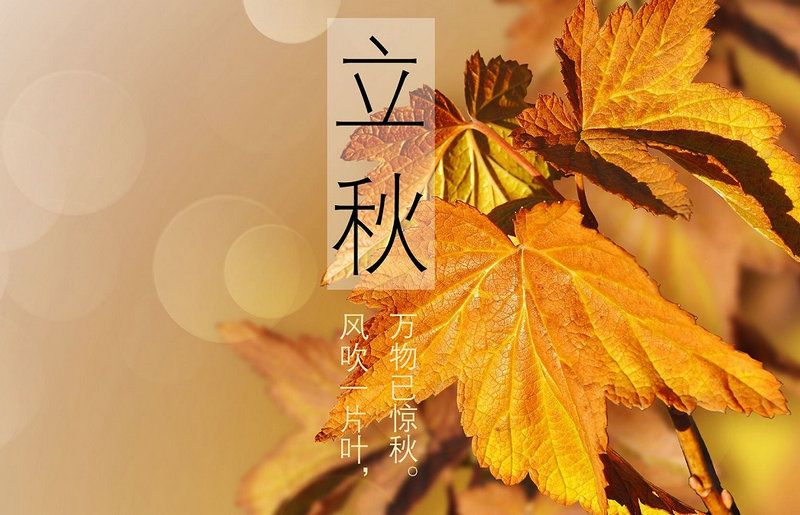 门口摆放什么能招财 门口摆放什么能招财