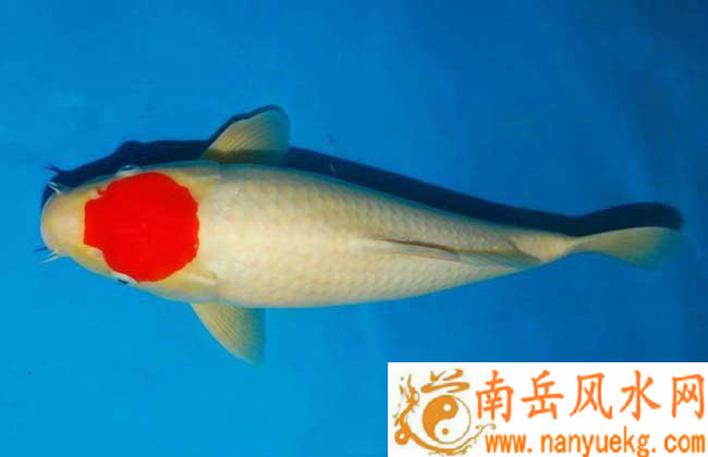 ��������������ÿ���˳� 1969��������2025�����ƽ���