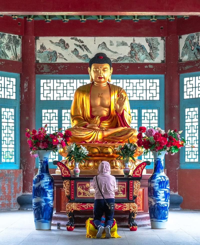 王晓晨2025电视剧 王晓晨2025电视剧