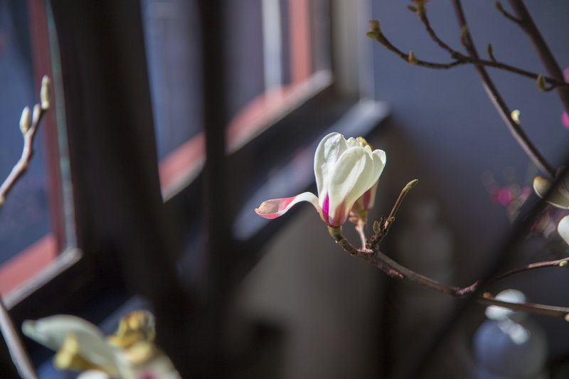 刘亦菲的现任丈夫简介 刘亦菲的现任丈夫简介