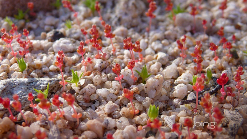 ���������ǩ25ǩ�ϻ鼪�׳ɰ��ж�(���������ǩ25ǩ�ϻ�˳��)