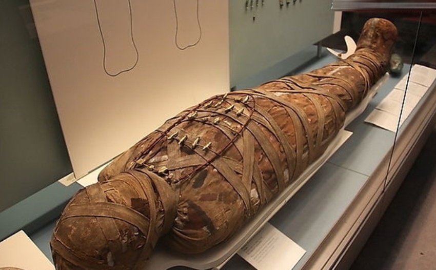 ������2025�����б��� ���2025���б���ȡ���Ƽ�