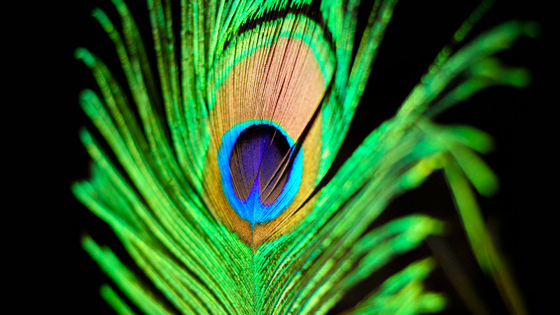 ǧ�����װ��ֺϻ� �������״�ʦ��æ ���������Ů�İ��ֺϻ� 