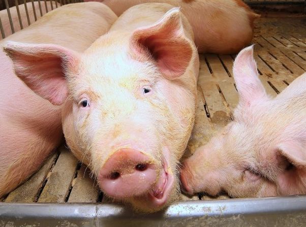 �ֻ������˵ľ�ȷλ������ �����ֻ�������λ��