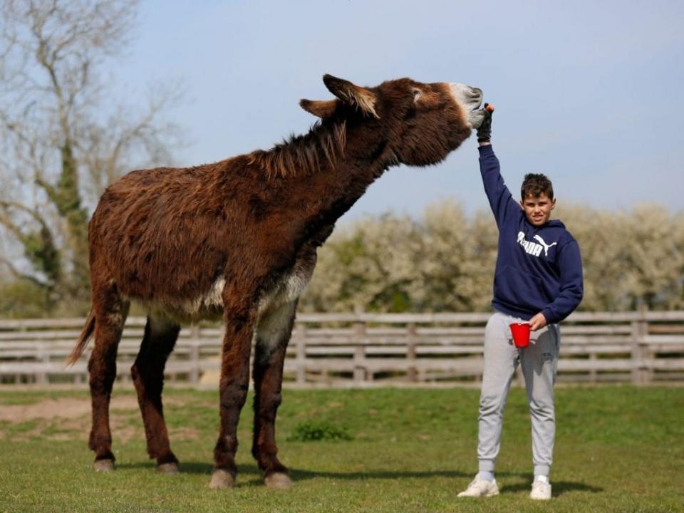 ȫ������������������100λ�������������