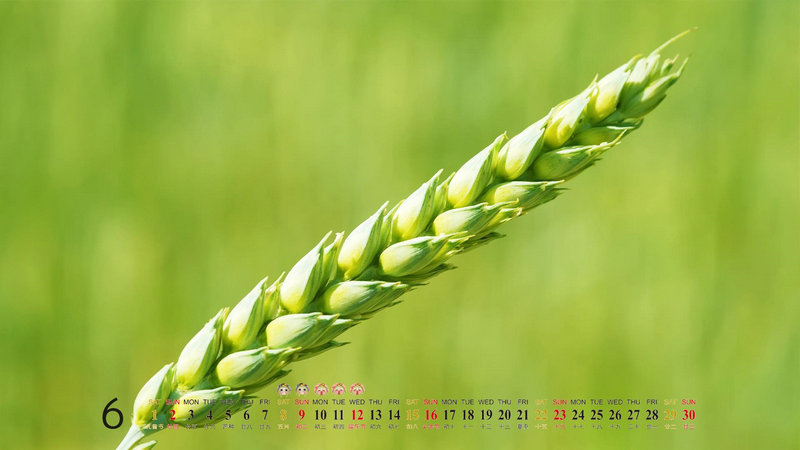 ������2025��ÿ���������