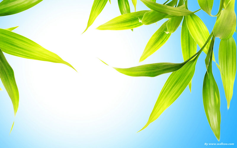 ��ж��λ�Ϊ�ն˹�˾���³� ������ж�λ�Ϊ�ն˹�˾����