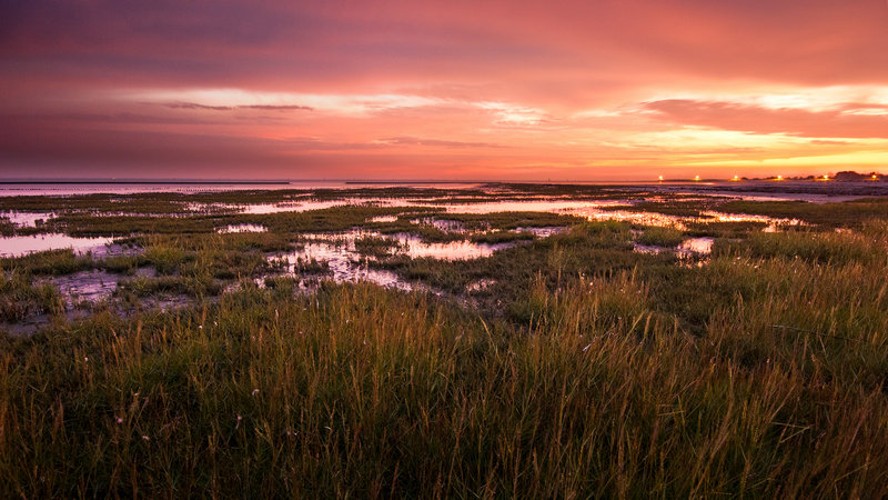 ������ǩ4����_Ͷ��ʧ�ܸû�������(������ǩ4����ԤʾͶ��ʧ����)