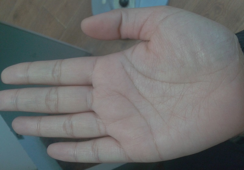 ���ǽ�Ԭ���ݵĵ��Ӿ�