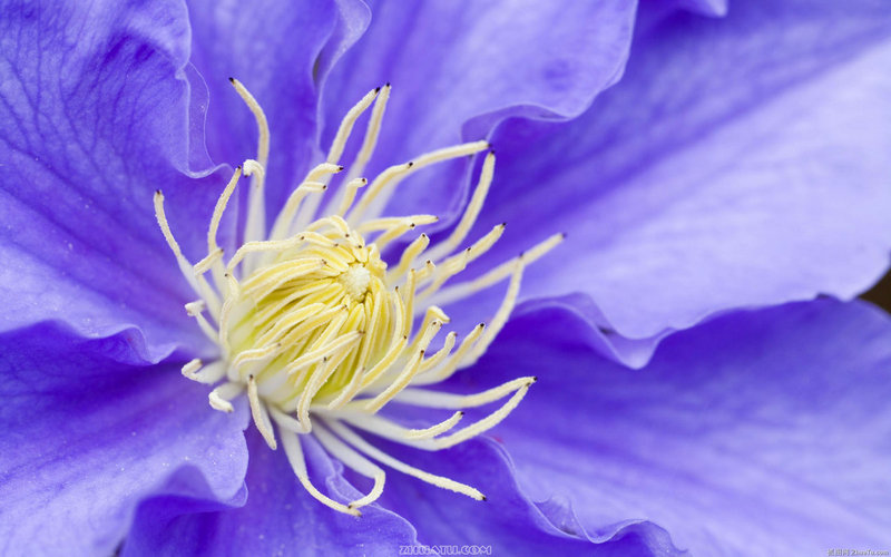 ���ֲ�ѯ������� ����������Ԥ֪δ������ 