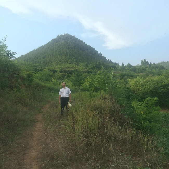 女明星袁立个人资料于震和袁立合演的电视剧 女明星袁立个人资料于震和袁立合演的电视剧
