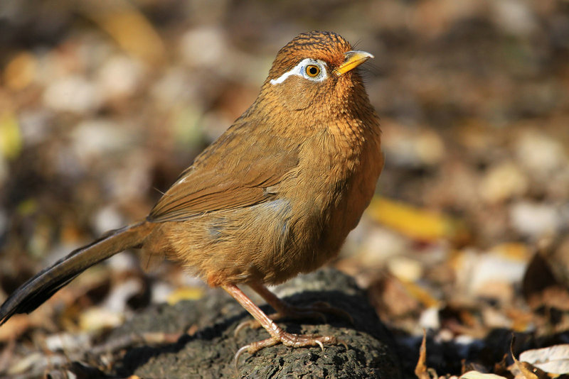 ̷άά��ǻ ̷άά��ǻҡ��