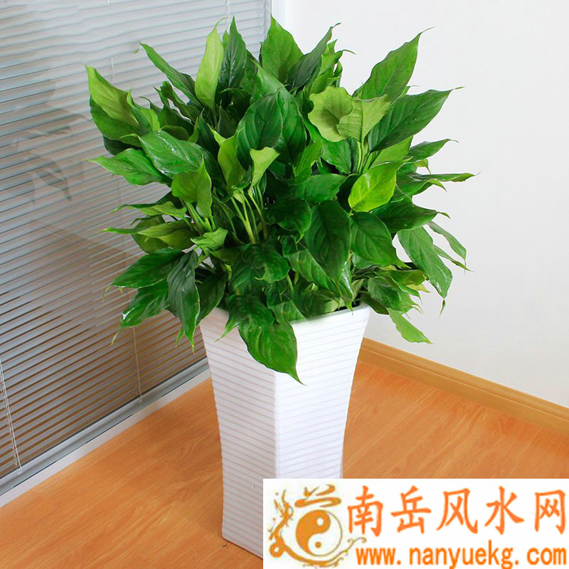 农历七月几号是鬼节 鬼节有什么禁忌 为什么 农历七月几号是鬼节 鬼节有什么禁忌 为什么