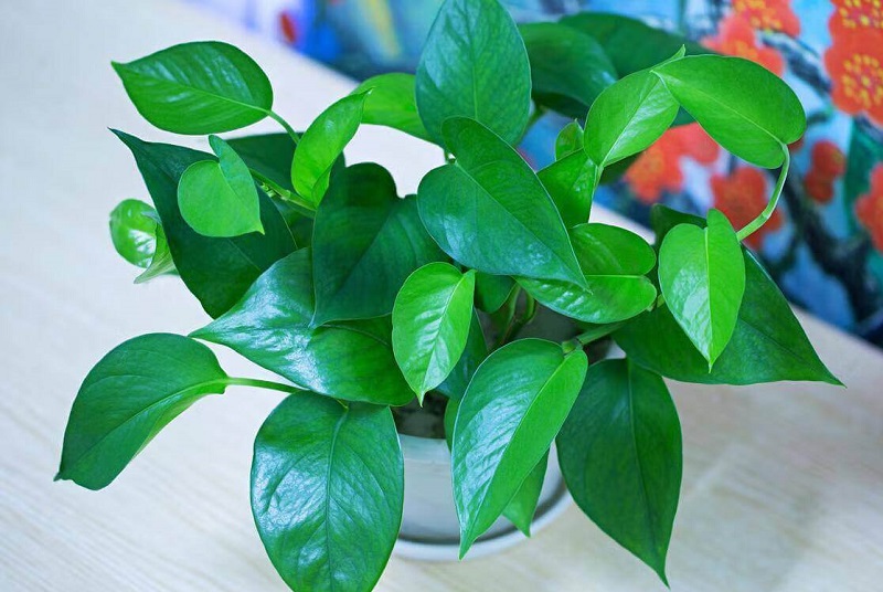 年龄是16还是16岁 年龄是16还是16岁