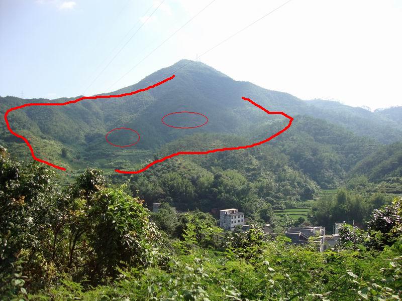 明星掐架式炒作唯粉和CP粉再掐架 被牵扯的明 明星掐架式炒作唯粉和CP粉再掐架 被牵扯的明