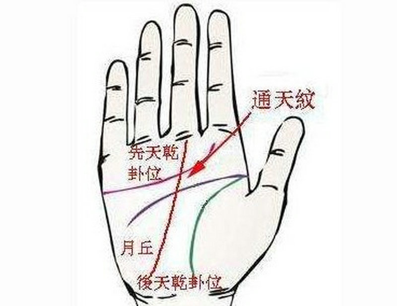 定制衣柜取名大全免费 个性衣柜取名推荐2026最新 定制衣柜取名大全免费 个性衣柜取名推荐2026最新